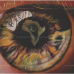 Africa Eye Canvas