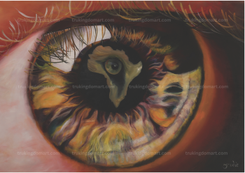 Africa Eye Canvas